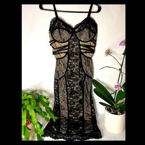 bebe • Mixed Lace • Bodycon Midi Dress